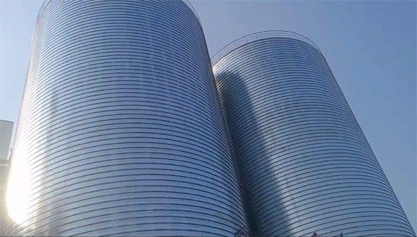 麟游2座混凝土高架卷板仓